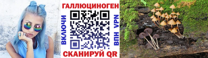Галлюциногенные грибы Magic Shrooms Демидов