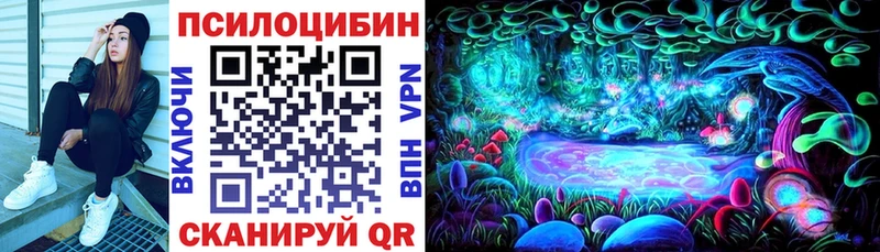 сколько стоит  OMG онион  Галлюциногенные грибы прущие грибы  Демидов 
