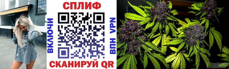 МАРИХУАНА Amnesia  Демидов 